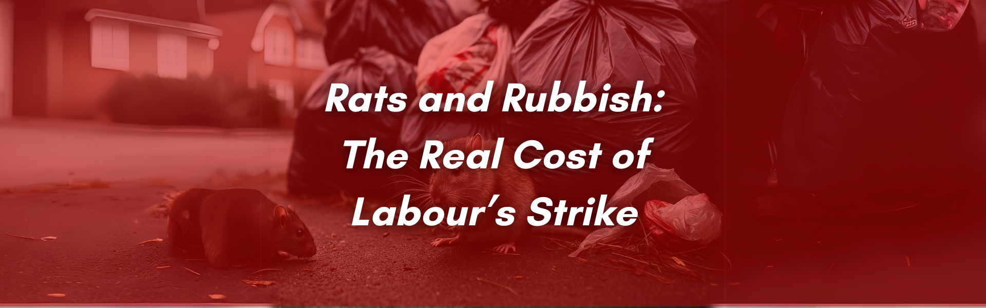 rats and rubbish: the real cost of Labour's strike