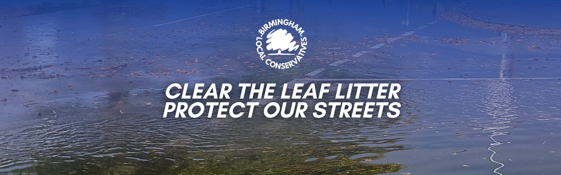 Clear the leaf litter, protect our streets