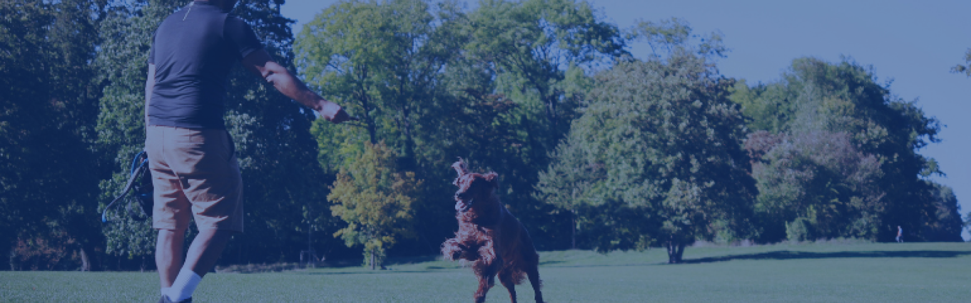 Dog Park