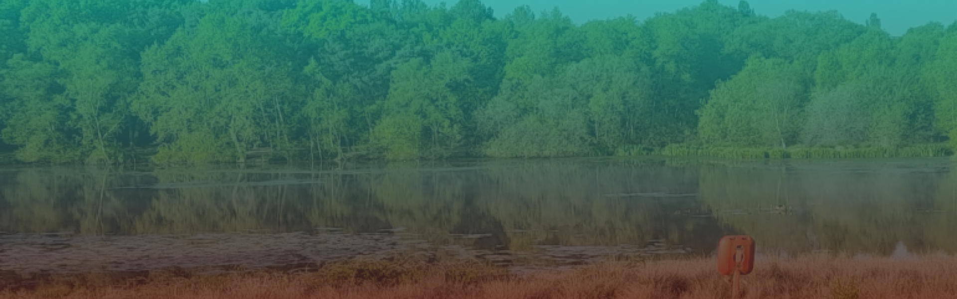 Sutton park with teal and red overlay