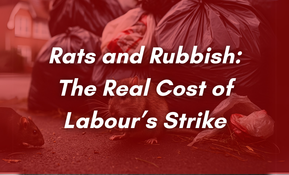 rats and rubbish: the real cost of Labour's strike