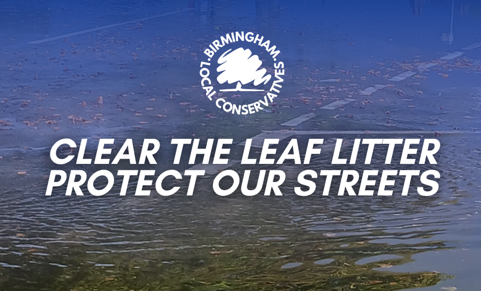 Clear the leaf litter, protect our streets