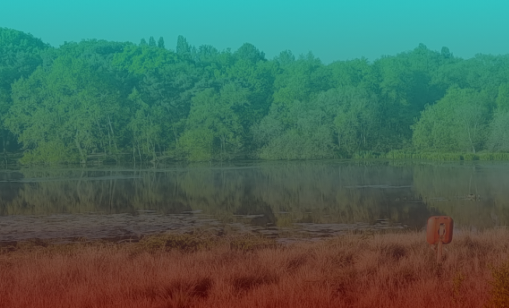 Sutton park with teal and red overlay