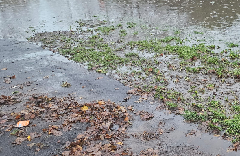 Flooded road and grass verge
