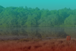 Sutton park with teal and red overlay