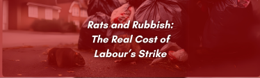 rats and rubbish: the real cost of Labour's strike
