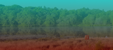 Sutton park with teal and red overlay