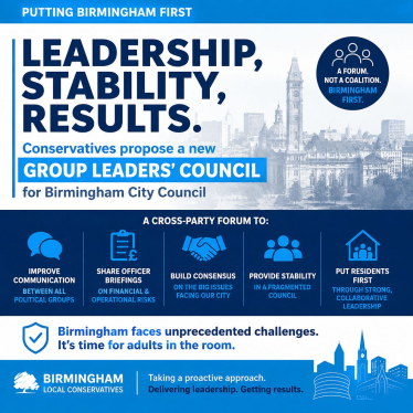 A graphic explaining the need for a Group Leaders Council to offer stability on BCC.